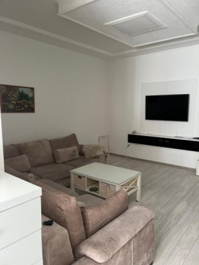 Apartment studio